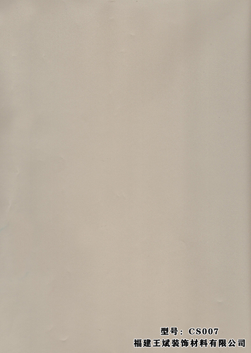 CS007