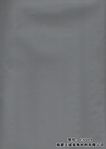 CS009