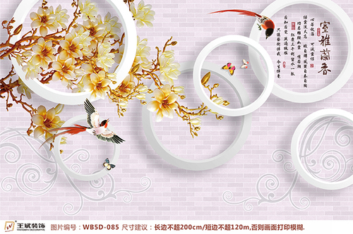 WB5D-085