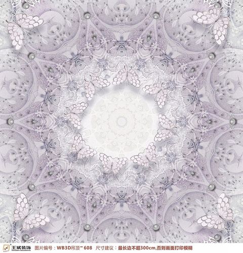 WB3D吊頂-608
