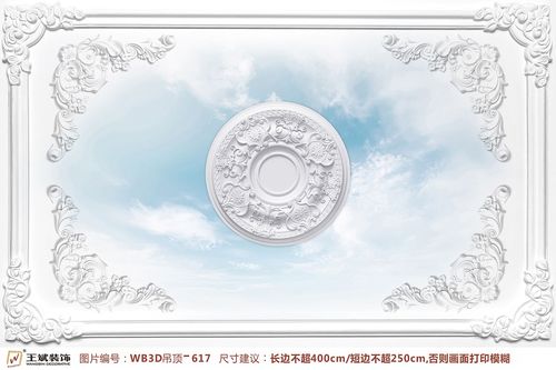 WB3D吊頂-617