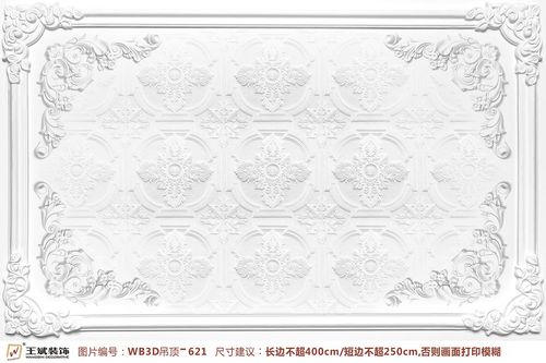 WB3D吊頂-621
