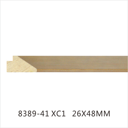 8389-41 XC1