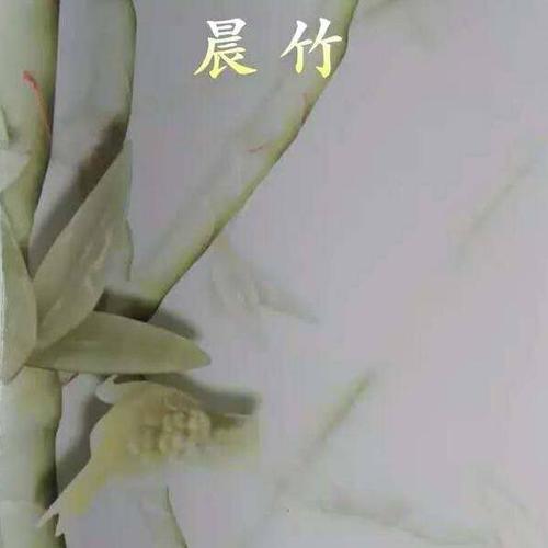 晨竹
