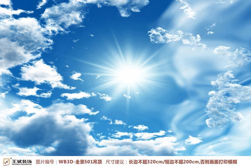 WB3D-全景501-天頂
