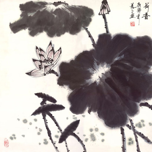 GH-C025