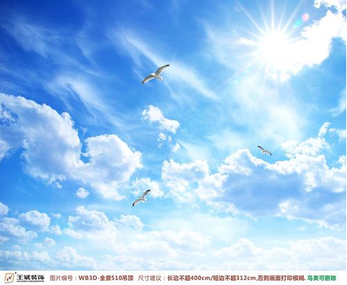 WB3D-全景510-天頂