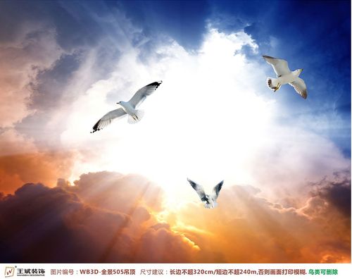 WB3D-全景505-天頂