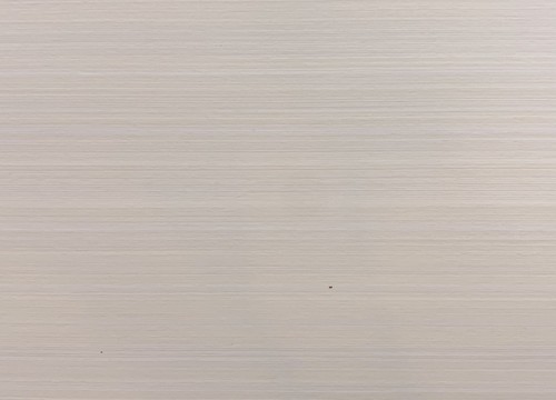 MS011