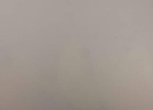 MS020