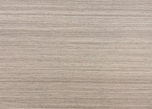 MS001
