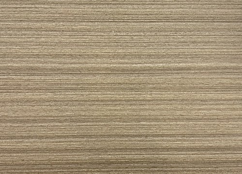 MS004