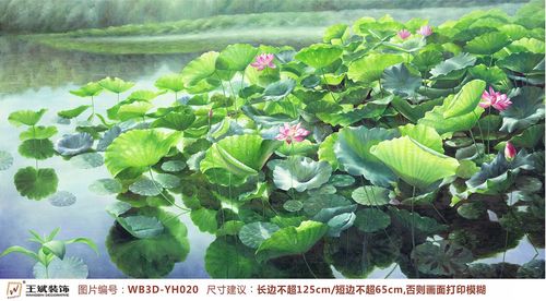 WB3D-YH020