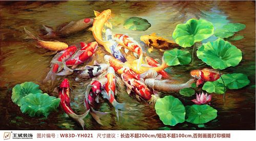 WB3D-YH021