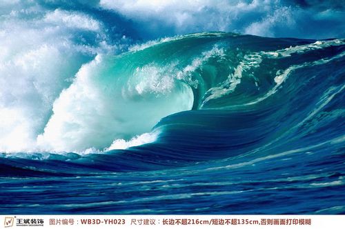 WB3D-YH023