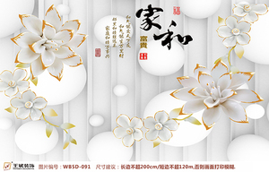 WB5D-091