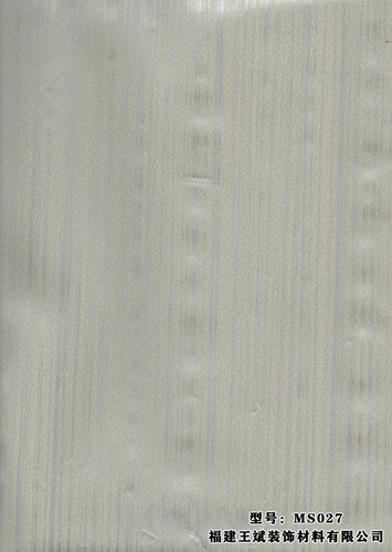 MS027