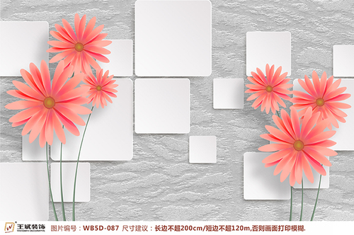 WB5D-087