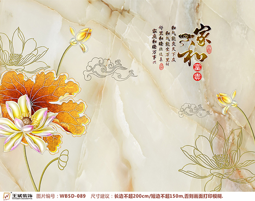 WB5D-089