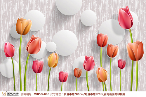 WB5D-086