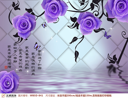 WB5D-041