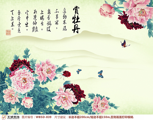 WB5D-039
