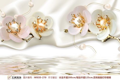 WB3D-270