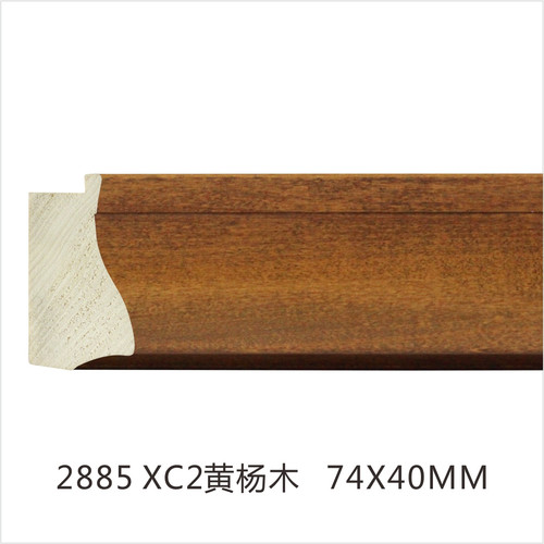 2885 XC2黃楊木