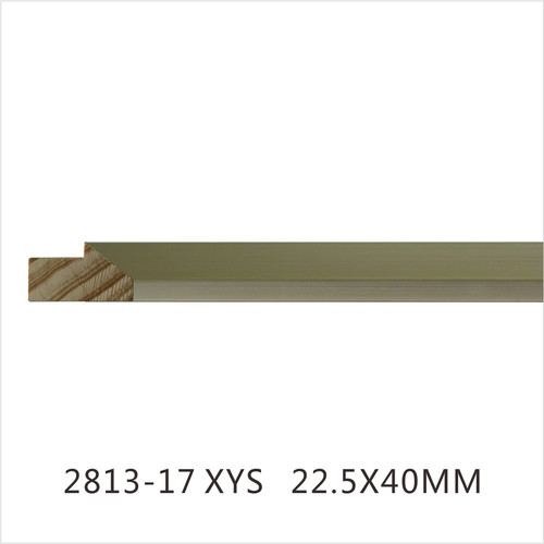 2813-17 XYS