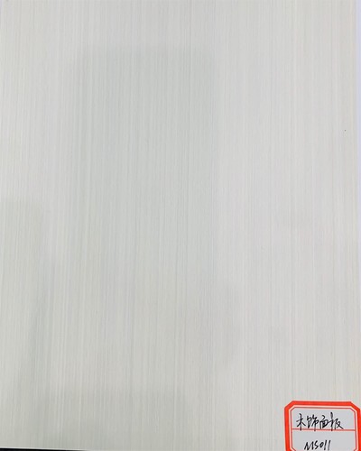 ms 011