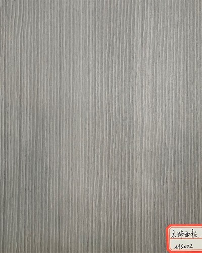 ms 002
