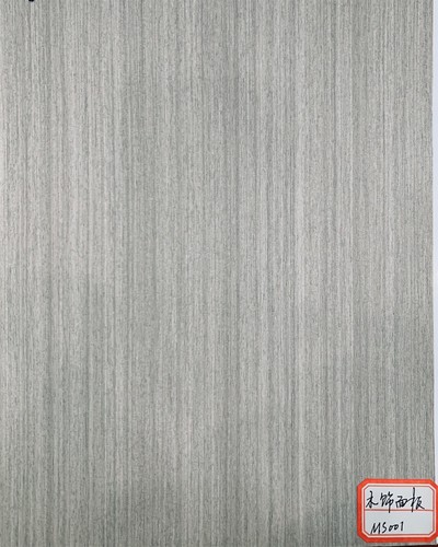 ms001