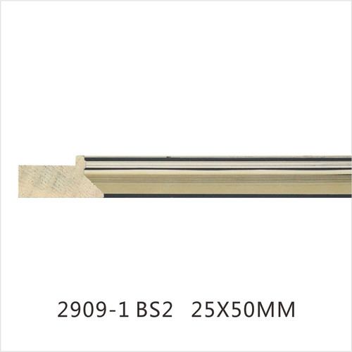 2909-1 BS2