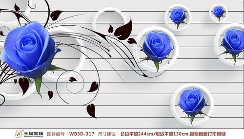 WB3D-317