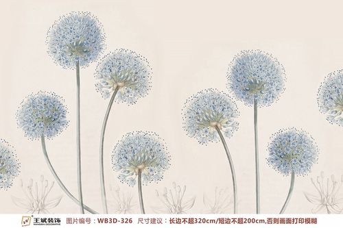 WB3D-326
