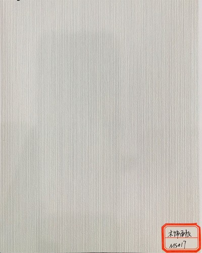 ms017