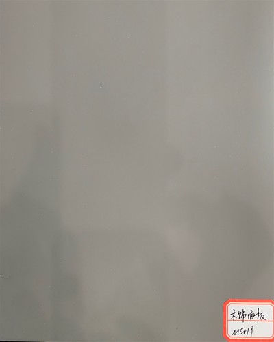 ms019