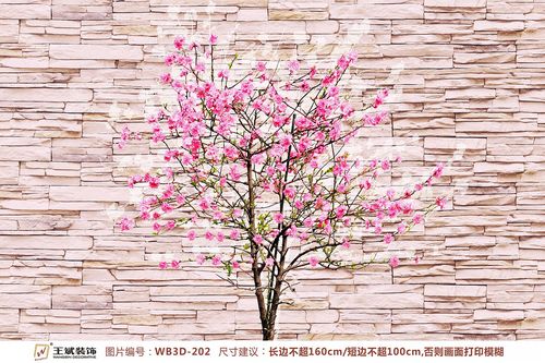 WB3D-202-3D