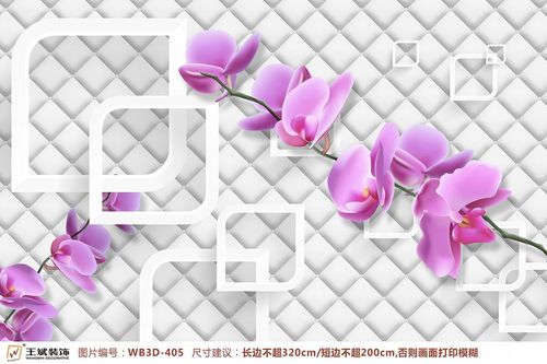 WB3D-405