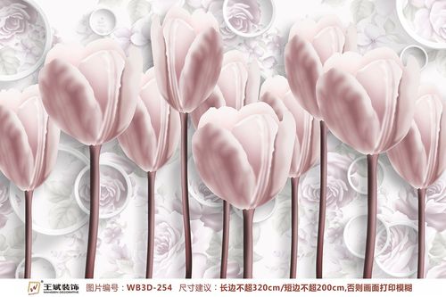 WB3D-254