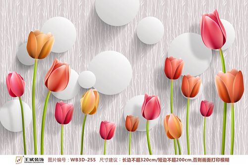WB3D-255