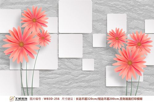 WB3D-256
