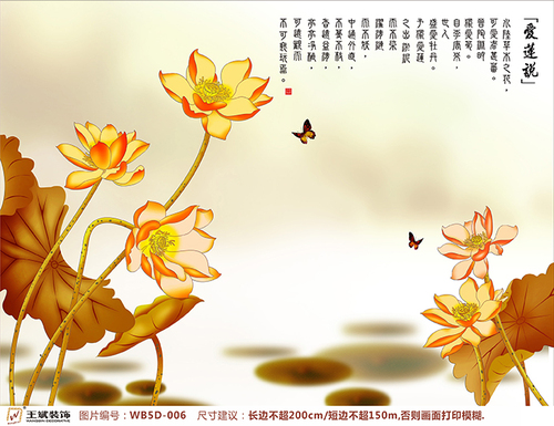 WB5D-006