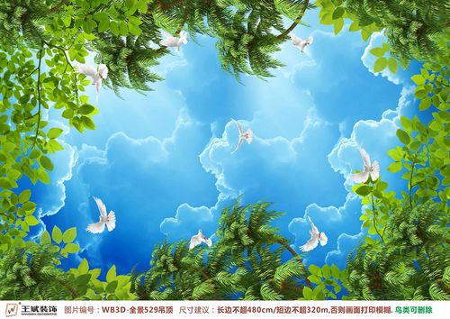 WB3D-全景529-天頂