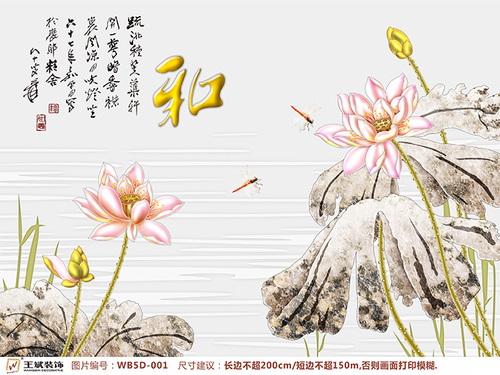 WB5D-001