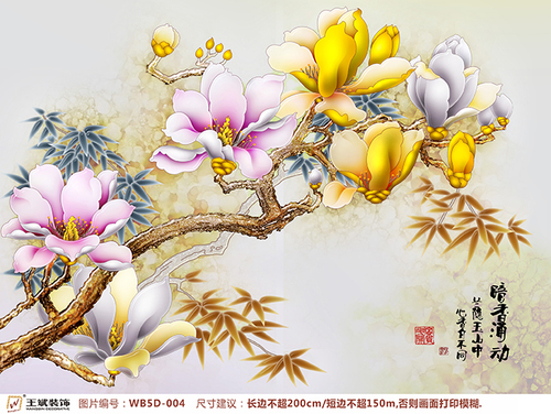 WB5D-004
