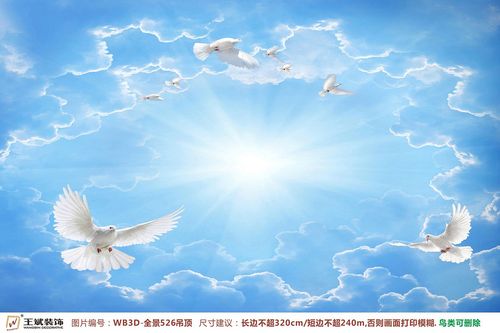 WB3D-全景526-天頂