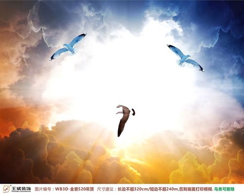 WB3D-全景520-天頂