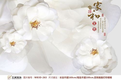 WB3D-263