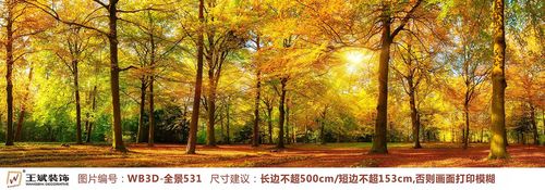 WB3D-全景531-3D唯美秋天陽光樹林森林主題背景墻